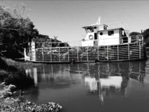 Screenshot_20251205_214814_Samsung Internet