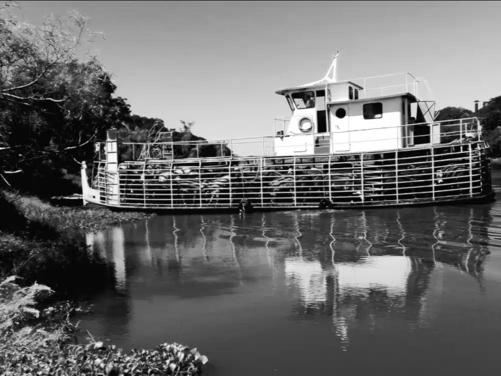 Screenshot_20251205_214814_Samsung Internet