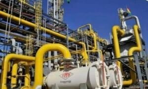 Screenshot_20251206_201218_Google