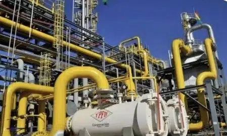 Screenshot_20251206_201218_Google