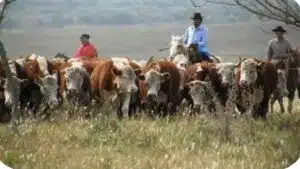 Screenshot_20251211_051145_Samsung Internet