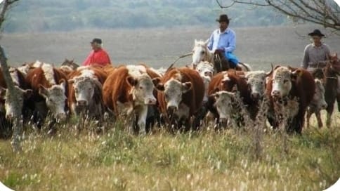 Screenshot_20251211_051145_Samsung Internet