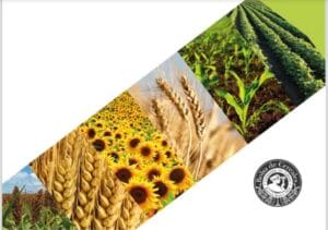 Screenshot_20251211_155109_Word