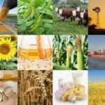 La agroindustria argentina propone mejorar el Régimen de Incentivo para Medianas Inversiones