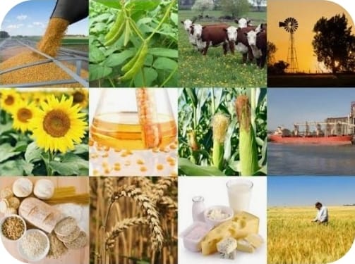 Screenshot_20251218_181605_Samsung Internet