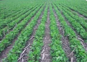 Screenshot_20251223_184159_Samsung Internet