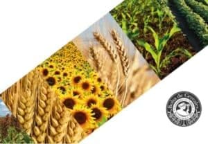 Screenshot_20260105_125432_Word