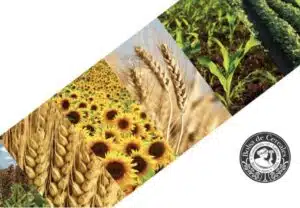 Screenshot_20260105_125432_Word