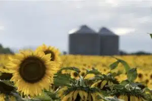 Screenshot_20260113_221210_Chrome