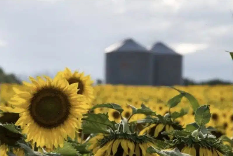 Screenshot_20260113_221210_Chrome