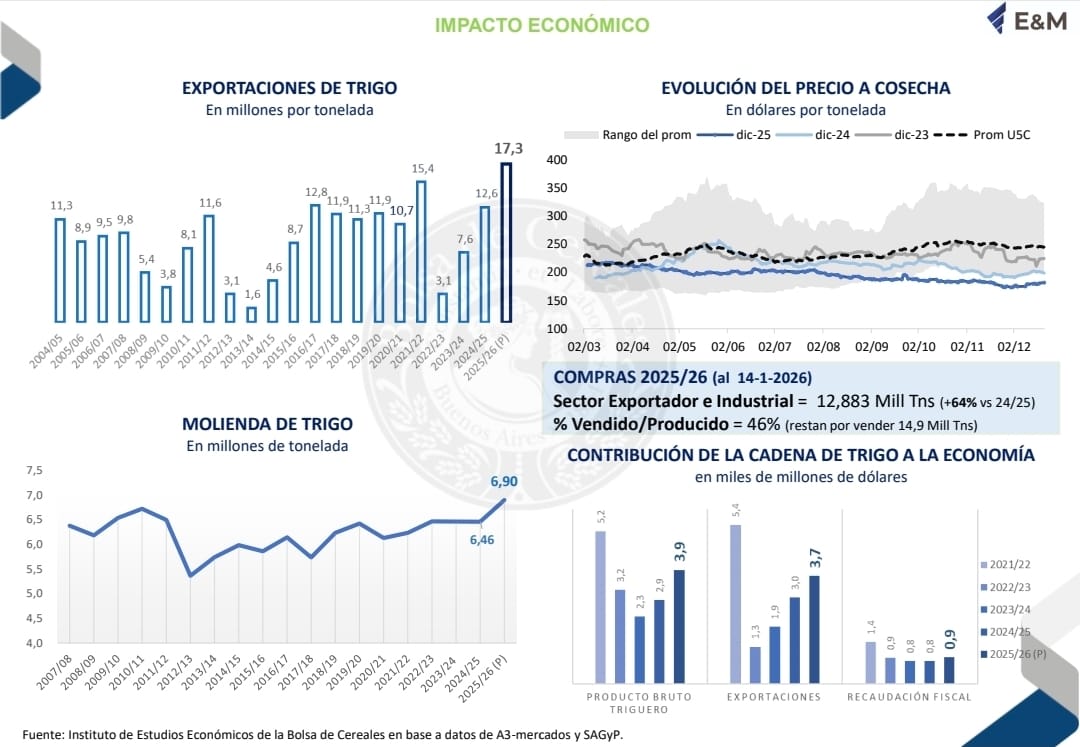 Las exportaciones de trigo argentino crecerán 25.5%