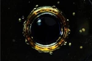 Screenshot_20260205_210437_Samsung Internet