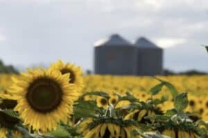 Screenshot_20260211_113110_Chrome