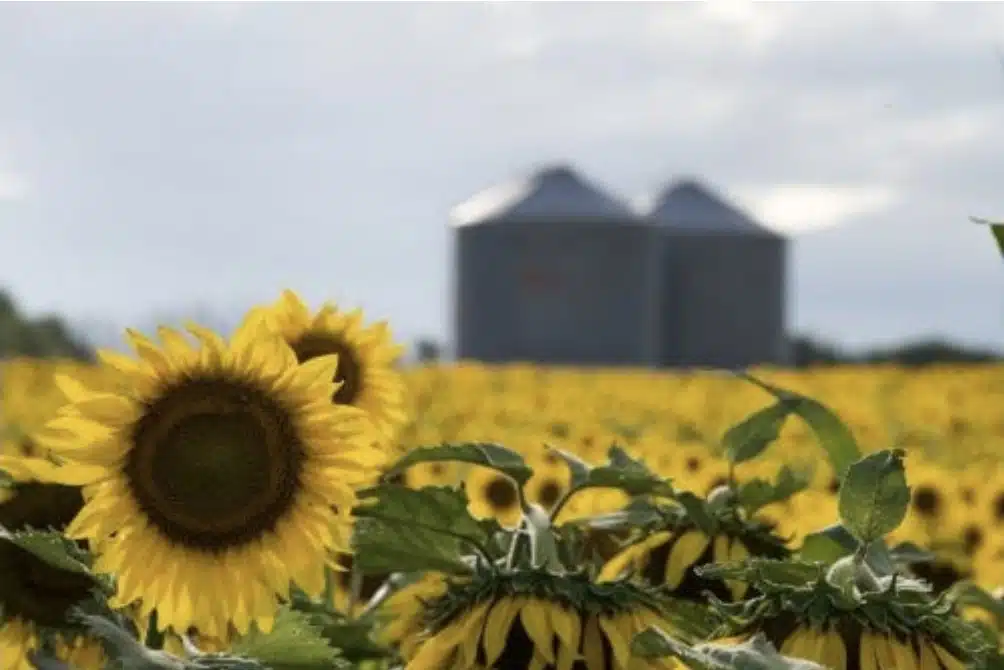 Screenshot_20260211_113110_Chrome