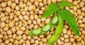 Screenshot_20260220_201717_Chrome