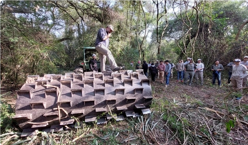 Ganadería con más productividad y menos metano en el Gran Chaco es el objetivo de la capacitación técnica para Argentina, Bolivia y Paraguay.