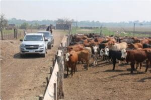 Screenshot_20260222_200552_Chrome