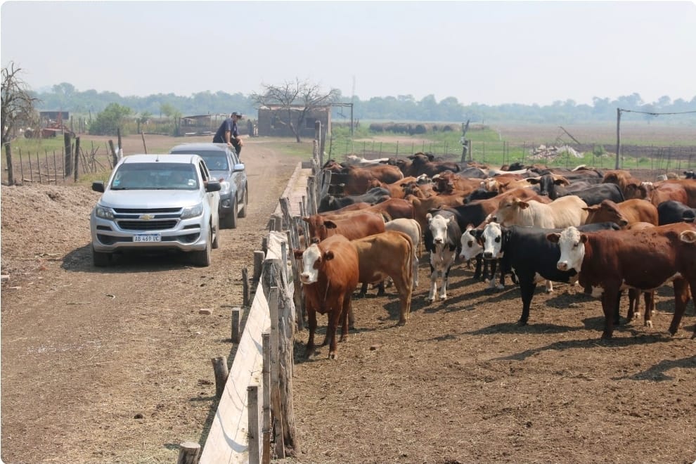 Screenshot_20260222_200552_Chrome