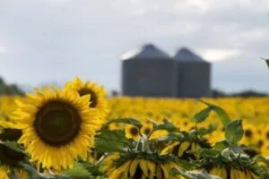 Screenshot_20260311_182008_Chrome