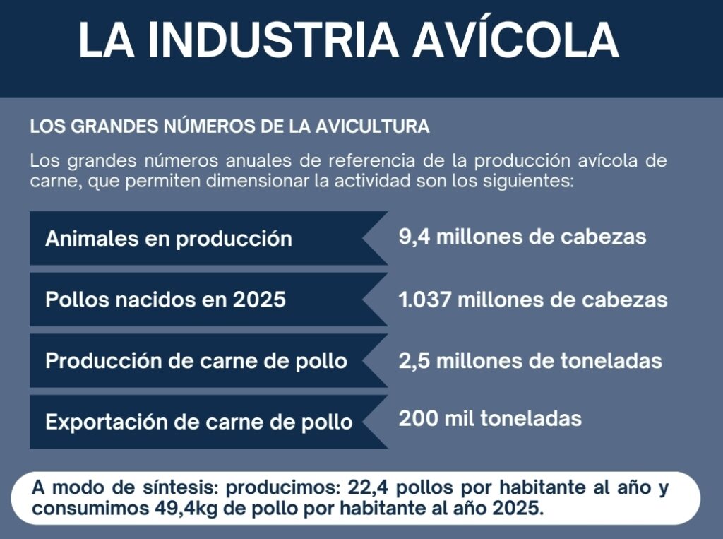 Industria avícola argentina