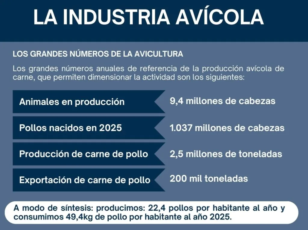 Industria avícola argentina