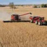 El gobierno argentino espera una cosecha récord de 147.9 millones de toneladas