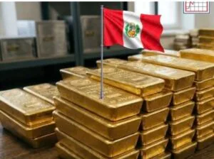 Screenshot_20260322_235529_WhatsApp