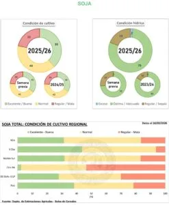 Screenshot_20260323_160509_Word