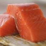 Noruega financió la oposición a las salmoneras de Chile y Argentina