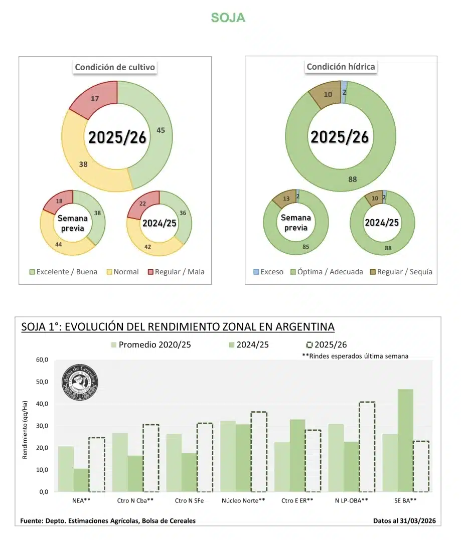 El 88% del cultivo de soja argentina está en excelente condición hídrica