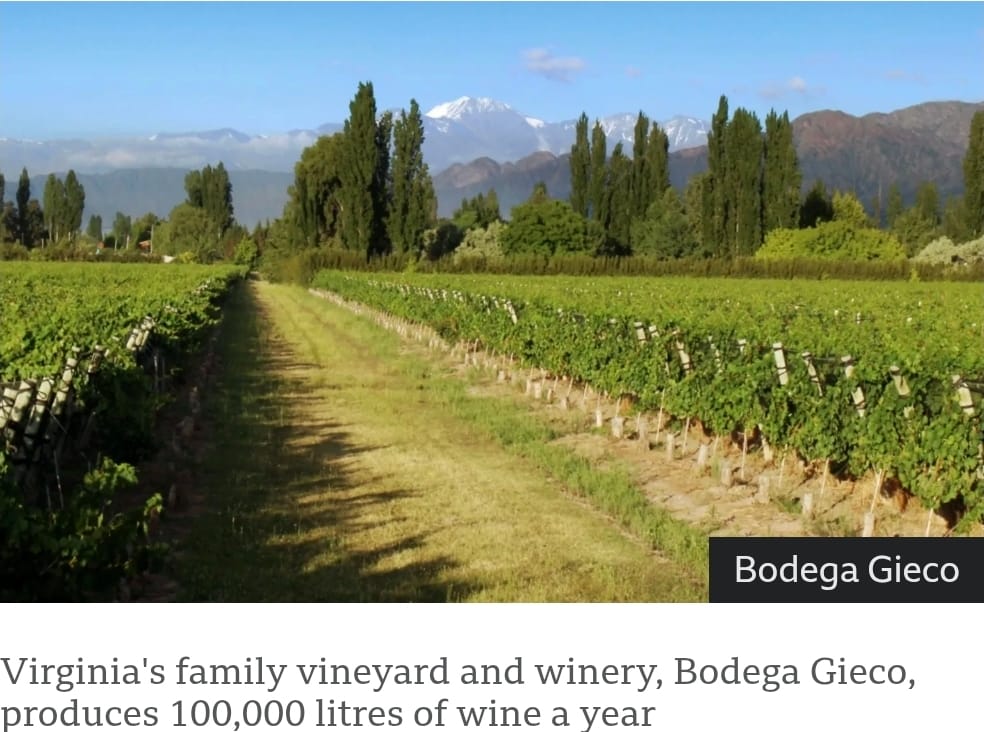 Ley de Glaciares: Virginia Del Valle teme que el suministro de agua de su viñedo esté en peligro.