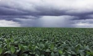 Screenshot_20260415_163456_Samsung Internet