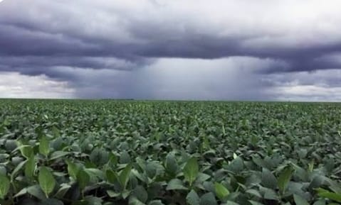 Screenshot_20260415_163456_Samsung Internet