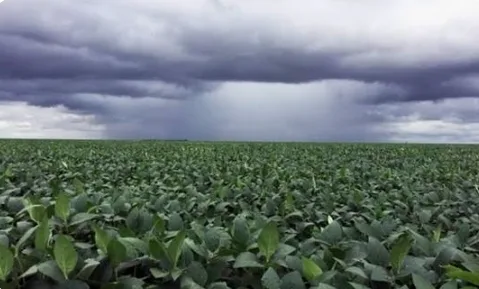 Screenshot_20260415_163456_Samsung Internet