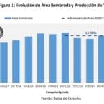 Se espera un año triguero a pesar  de un escenario económico complejo