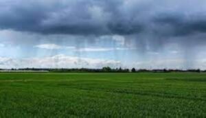 Se esperan precipitaciones abundantes para las zonas agrícolas argentinas