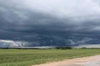El centro-este del área agrícola sería el foco de la tormenta de Santa Rosa