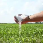 Argentina podría recibir 10.000 a 100.000 toneladas de urea por mes