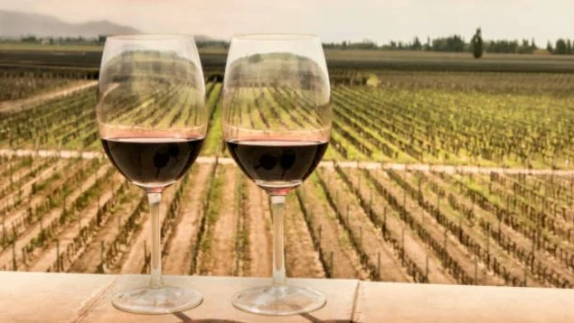 Los vinos mas recomendadosde la ribera del Duero